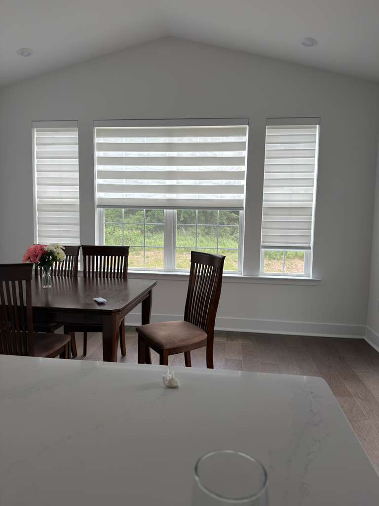 Zebra Blinds Sample